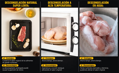 Bandeja Descongelante Express Natural