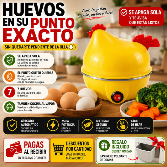 Gallina Cocedora Vapor Express